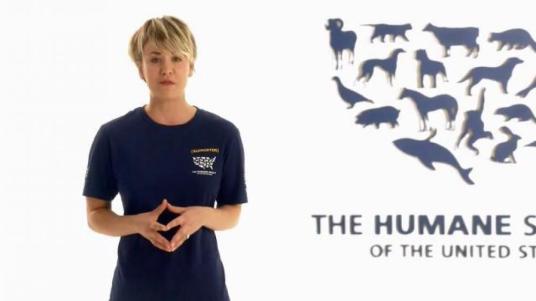 humane-society-stop-cruelty-featuring-kaley-cuoco-large-2