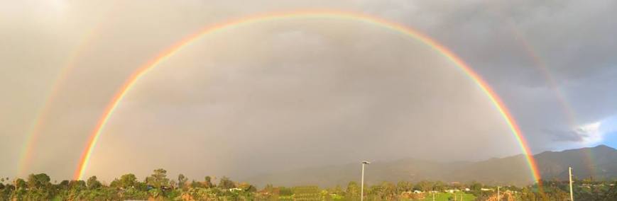 chuck-mannings-rainbow